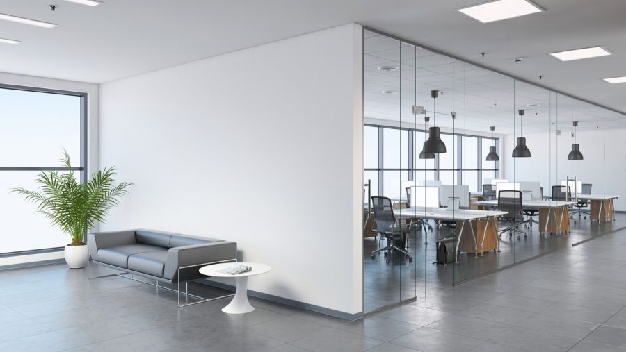 Modern office lobby with gray sofa, potted plant, and glass-walled open workspace with desks